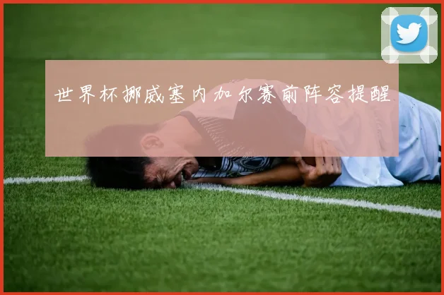 世界杯挪威塞内加尔赛前阵容提醒