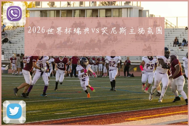 2026世界杯瑞典vs突尼斯主场氛围
