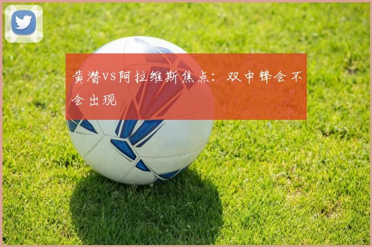 黄潜vs阿拉维斯焦点:双中锋会不会出现