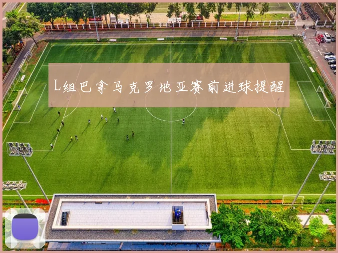 L组巴拿马克罗地亚赛前进球提醒