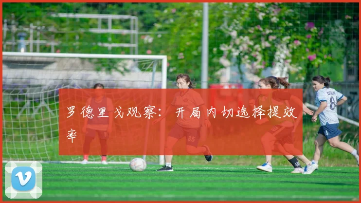 罗德里戈观察：开局内切选择提效率